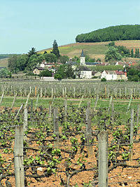 aloxe corton vue du village
