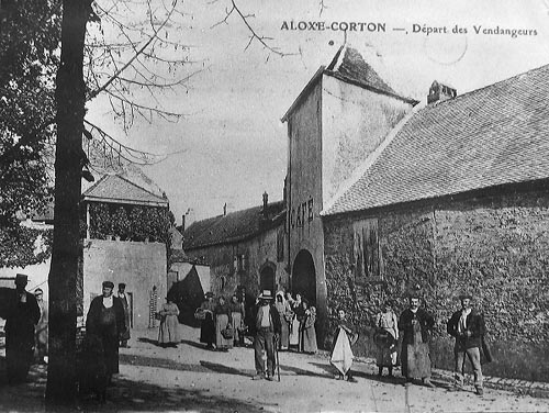 depart des vendangeurs