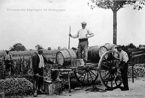 traitements cuprique en Bourgogne